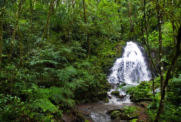 Muyanga Waterfall in Bwindi Impenetrable Forest