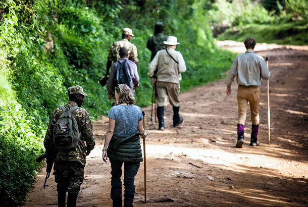 Why I Started Bwindi House Gorilla Safaris: A Promise to You