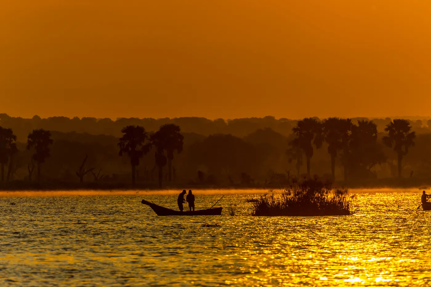 Two people in a small boat silhouetted against golden water and a palm-lined shore