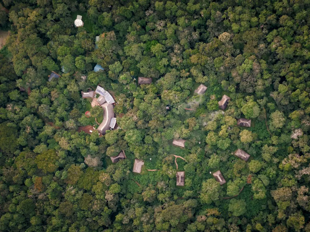Aerial view of dense forest canopy with a small clearing