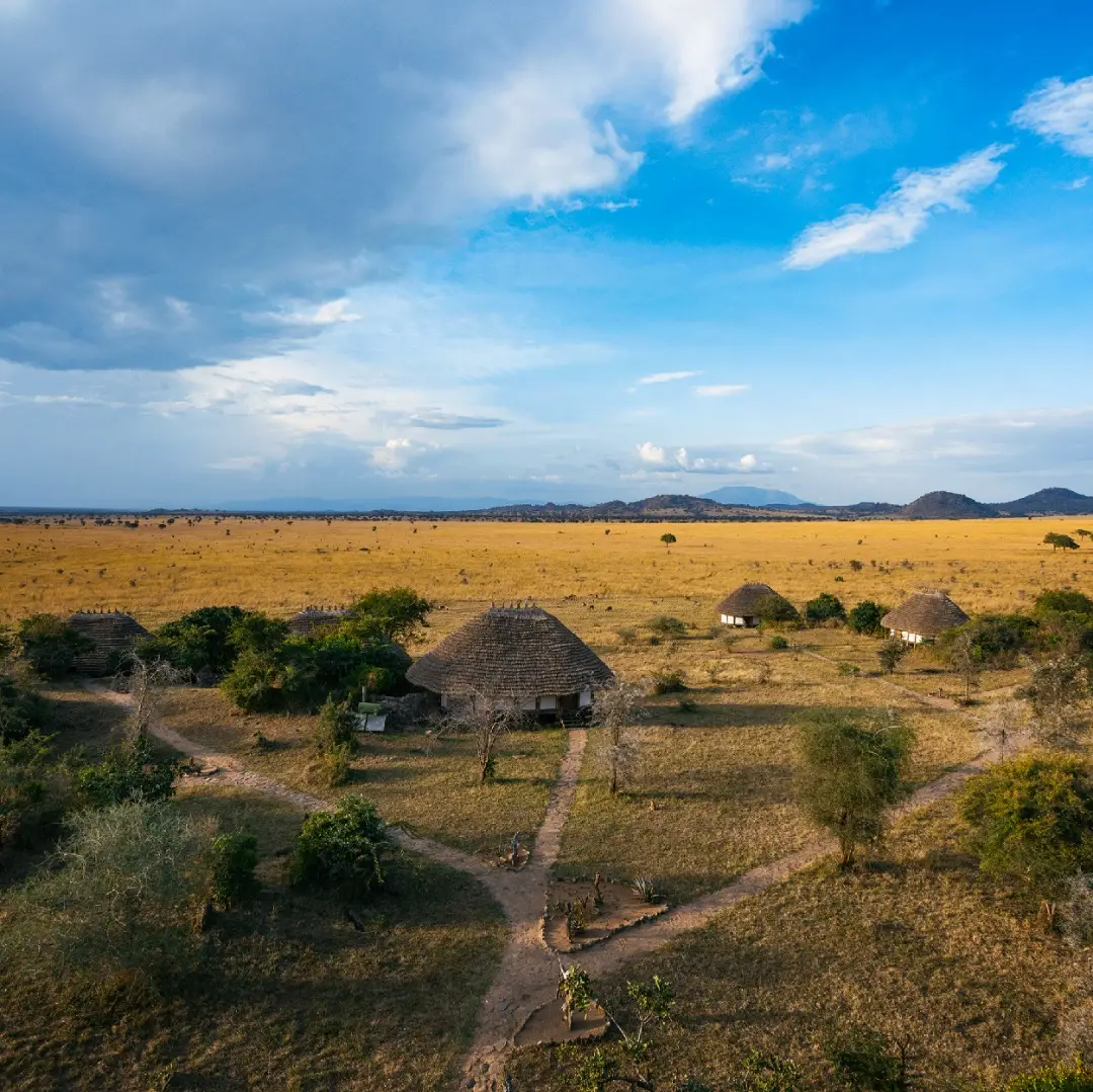 Thatched roofs overlooking an open grassland plain