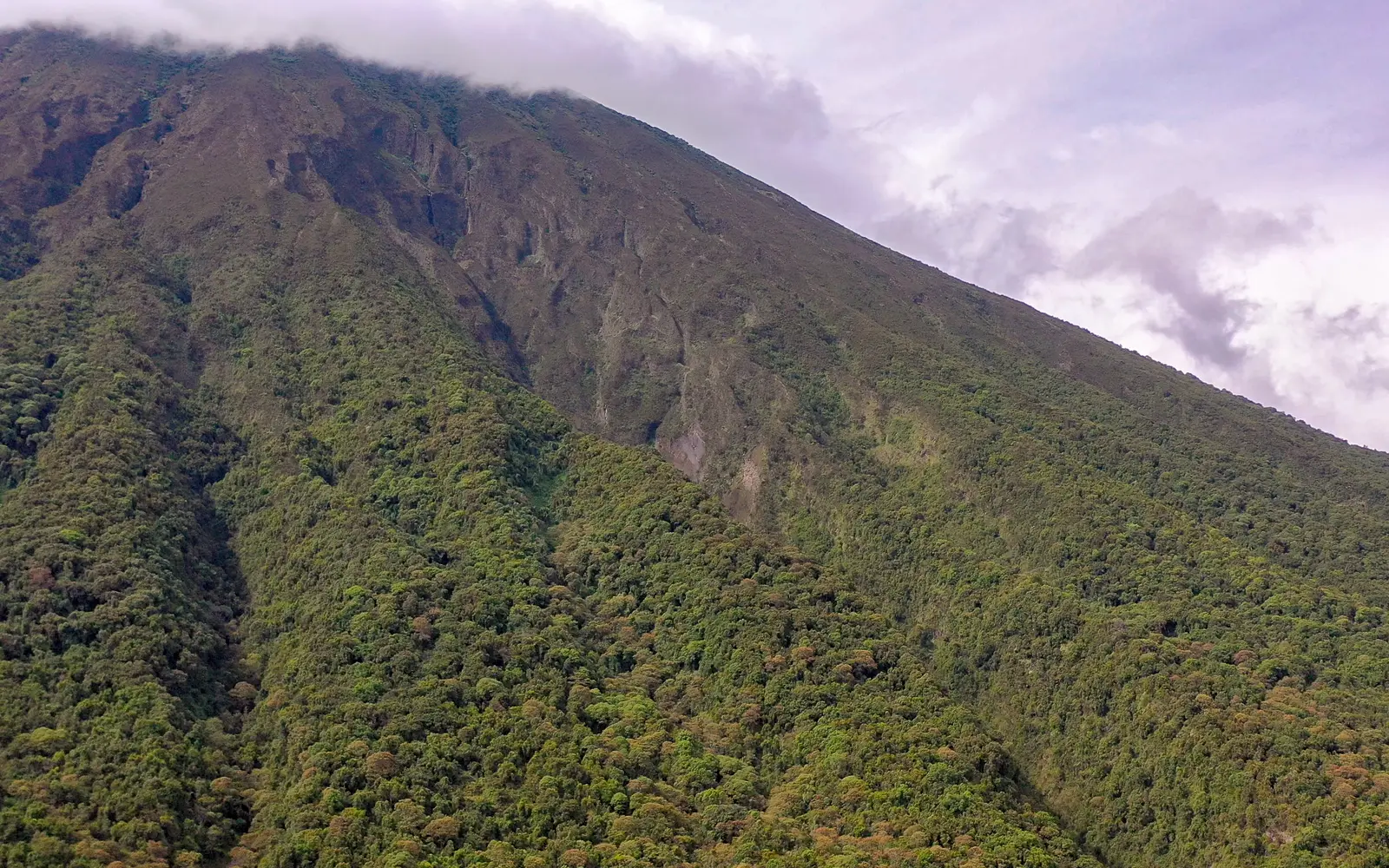 Forested slopes beneath a cloud-covered volcanic peak