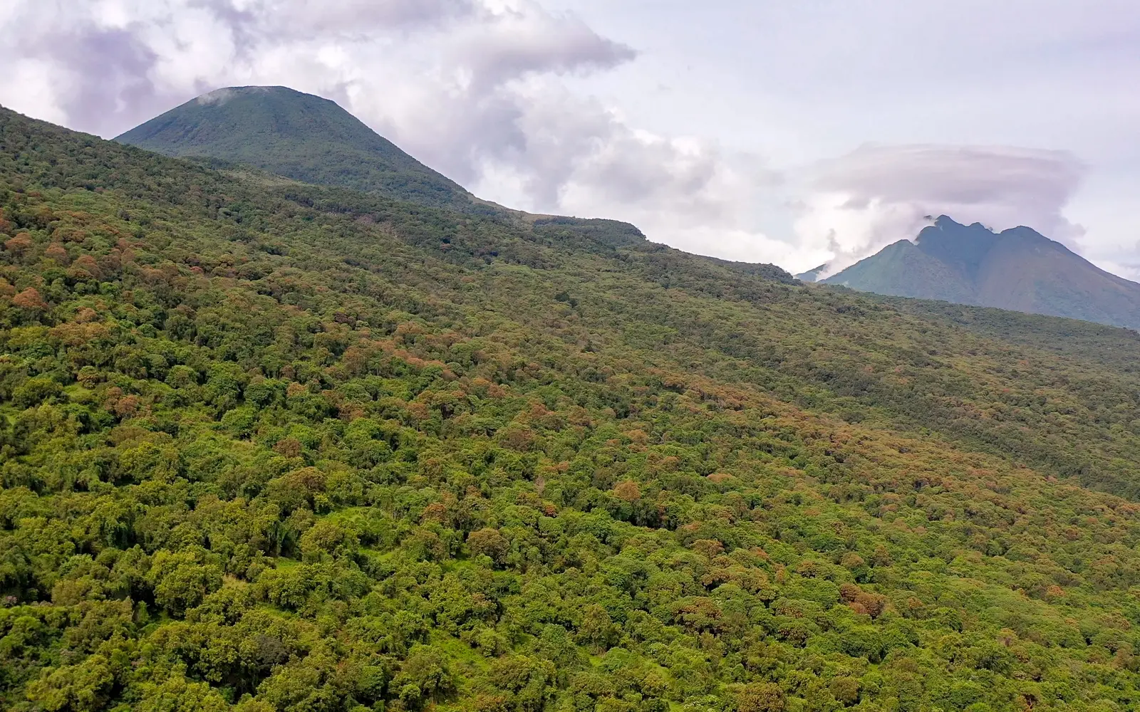 Cloud-covered volcanic peaks above forested slopes