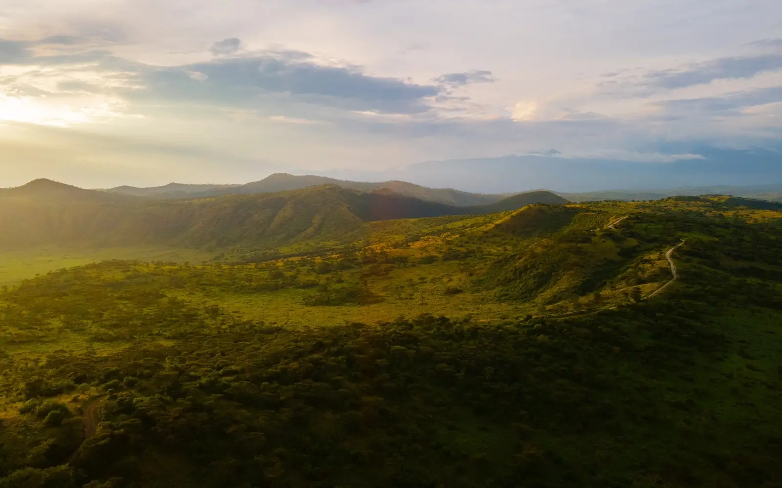 Evening light over rolling hills with a track along the ridge