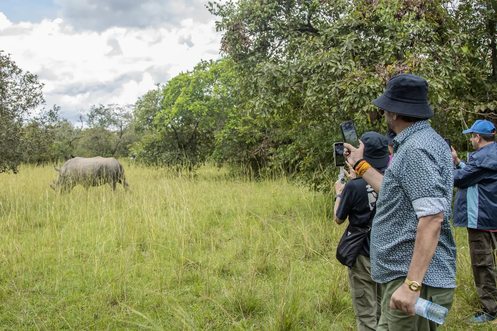 Wild White Rhino