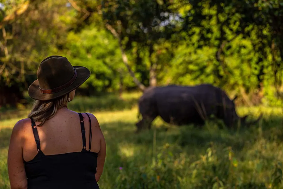 Visitor watching a rhino in a sunlit clearing